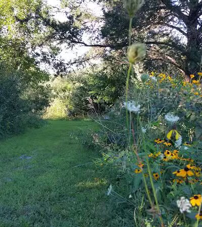 Trindle Park - Van Meter, IA