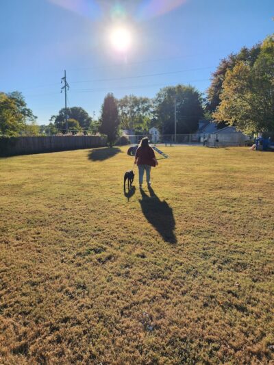 Bark Park - Vandalia, IL