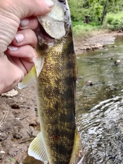 East Vandergrift Park - Vandergrift, PA