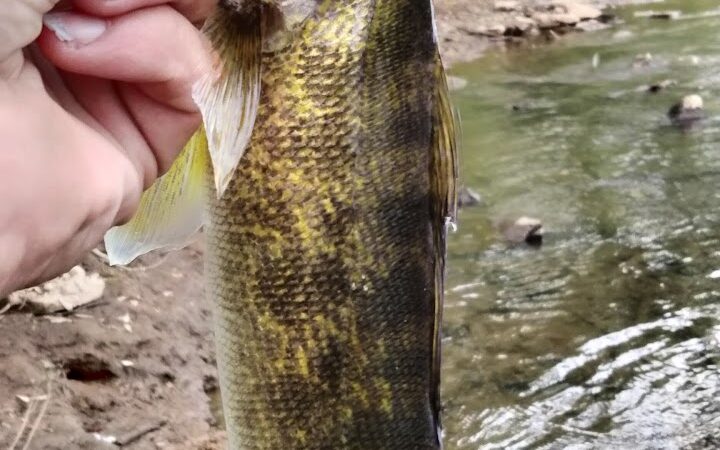 East Vandergrift Park - Vandergrift, PA