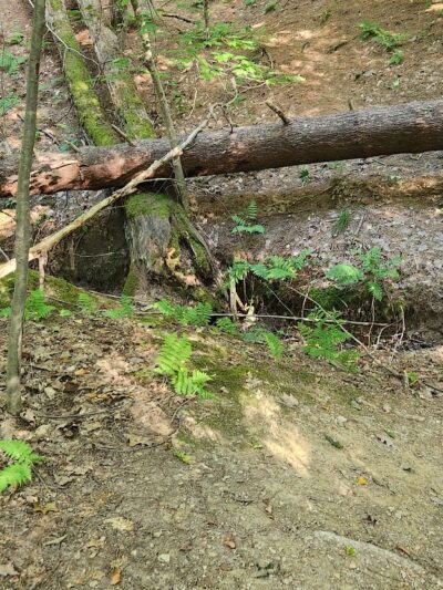 East Vandergrift Park - Vandergrift, PA