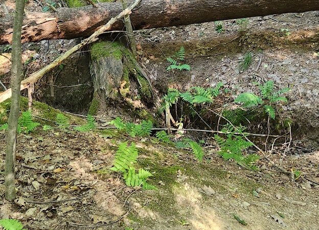 East Vandergrift Park - Vandergrift, PA