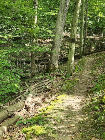 East Vandergrift Park - Vandergrift, PA