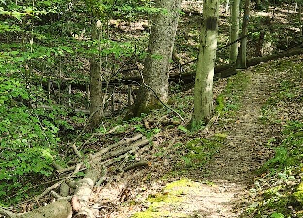 East Vandergrift Park - Vandergrift, PA