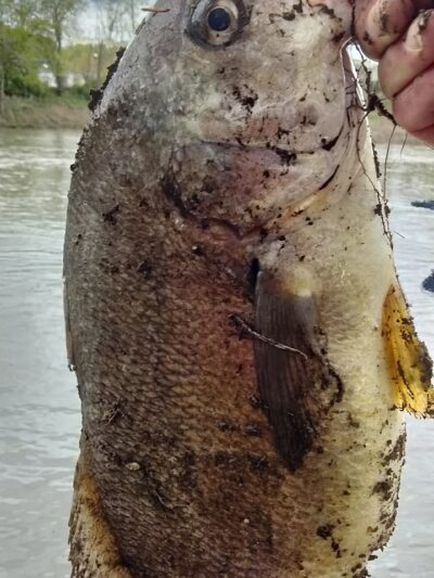 East Vandergrift Park - Vandergrift, PA