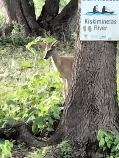 East Vandergrift Park - Vandergrift, PA