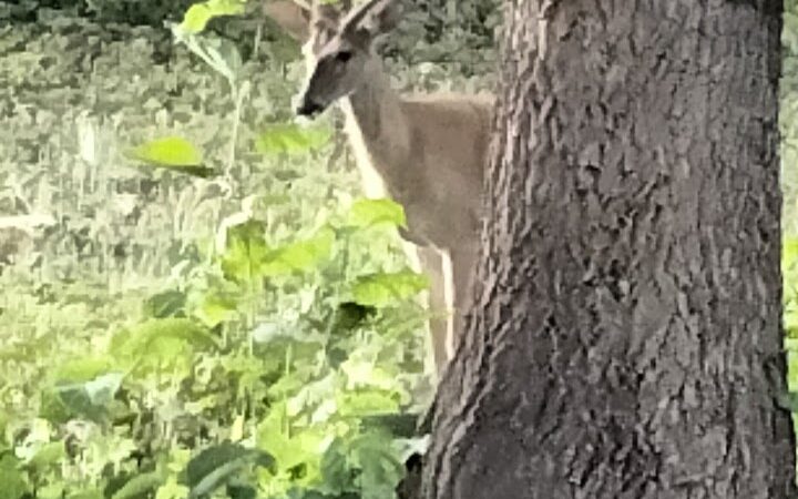 East Vandergrift Park - Vandergrift, PA