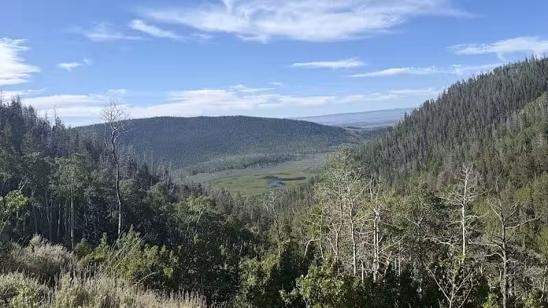 Fish Lake Hightop Trailhead - Tasha Springs - Venice, UT