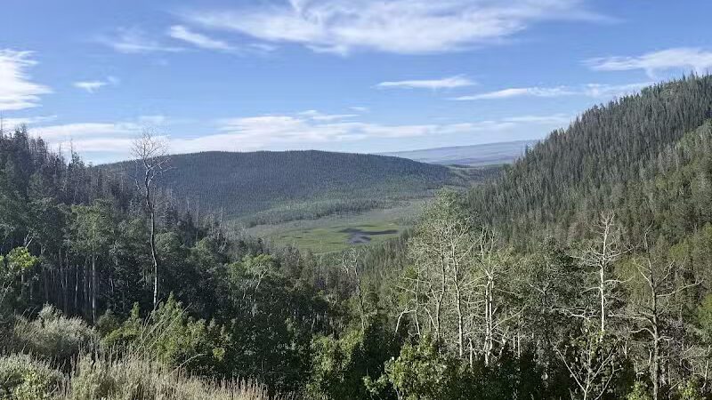 Fish Lake Hightop Trailhead - Tasha Springs - Venice, UT