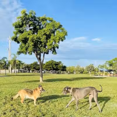 Vero Beach Dog Park - Vero Beach, FL