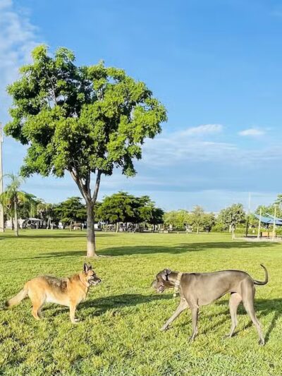 Vero Beach Dog Park - Vero Beach, FL