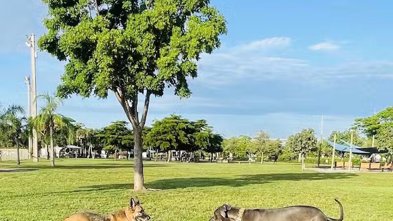 Vero Beach Dog Park - Vero Beach, FL