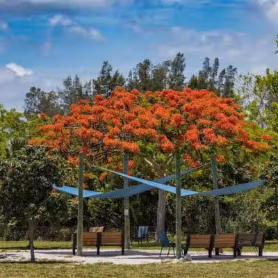 Vero Beach Dog Park - Vero Beach, FL