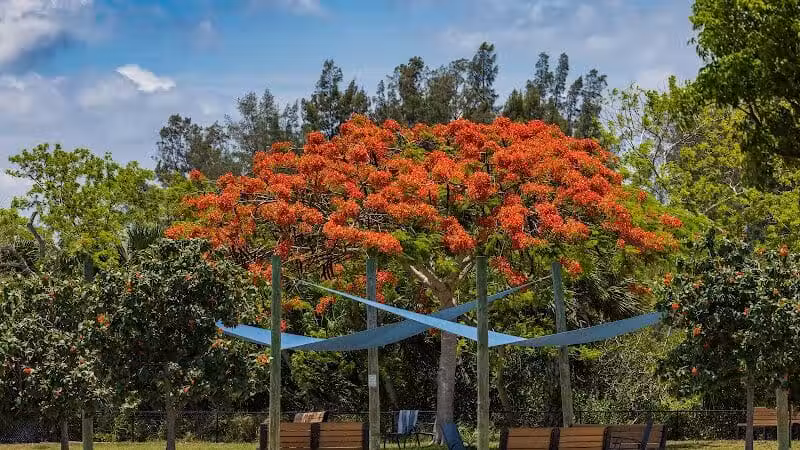 Vero Beach Dog Park - Vero Beach, FL