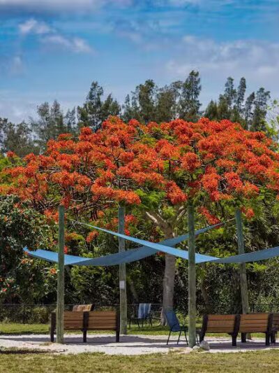 Vero Beach Dog Park - Vero Beach, FL