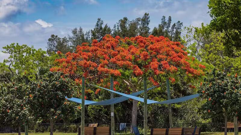 Vero Beach Dog Park - Vero Beach, FL
