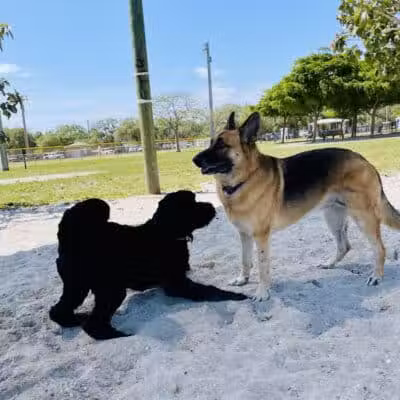 Vero Beach Dog Park - Vero Beach, FL