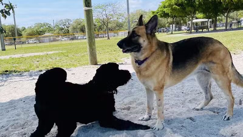 Vero Beach Dog Park - Vero Beach, FL