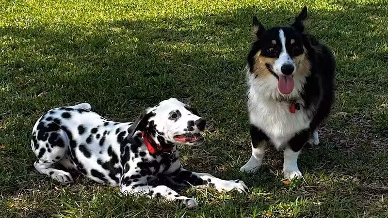 Vero Beach Dog Park - Vero Beach, FL
