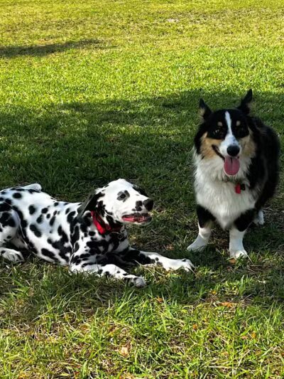 Vero Beach Dog Park - Vero Beach, FL
