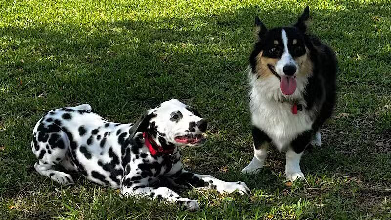 Vero Beach Dog Park - Vero Beach, FL