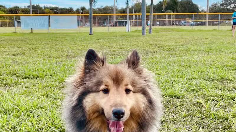 Vero Beach Dog Park - Vero Beach, FL