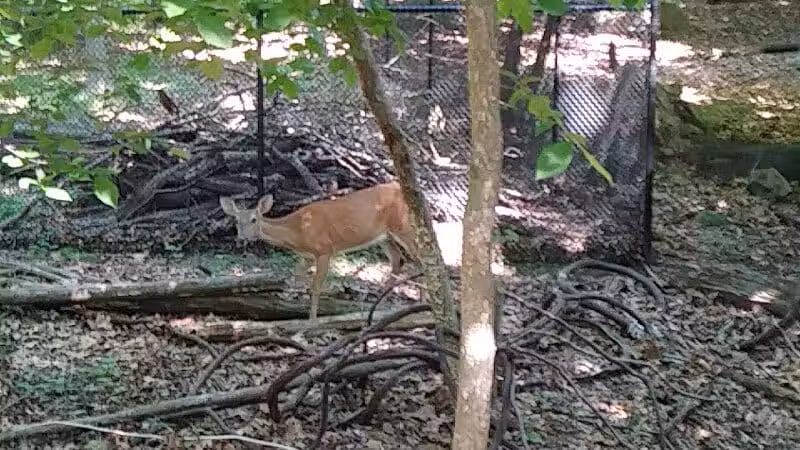 West Essex Trail - Verona, NJ