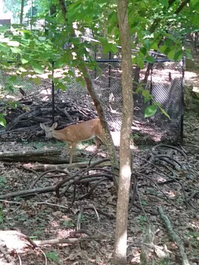 West Essex Trail - Verona, NJ