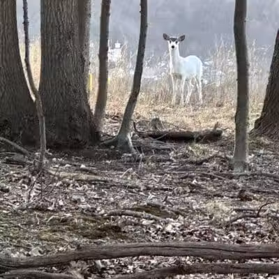 West Essex Trail - Verona, NJ