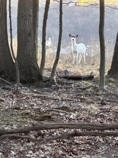 West Essex Trail - Verona, NJ