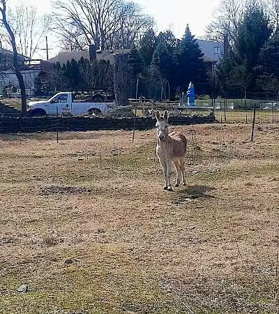 West Essex Trail - Verona, NJ