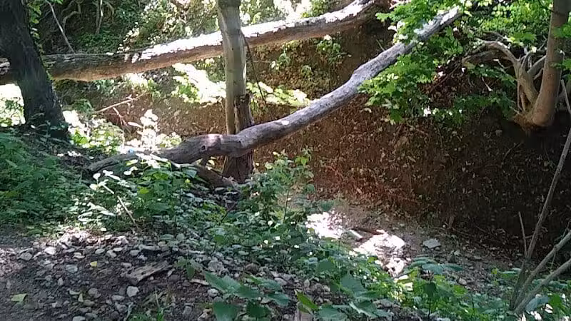 West Essex Trail - Verona, NJ