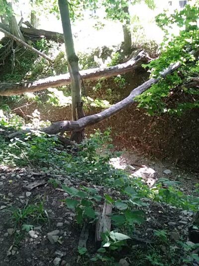 West Essex Trail - Verona, NJ