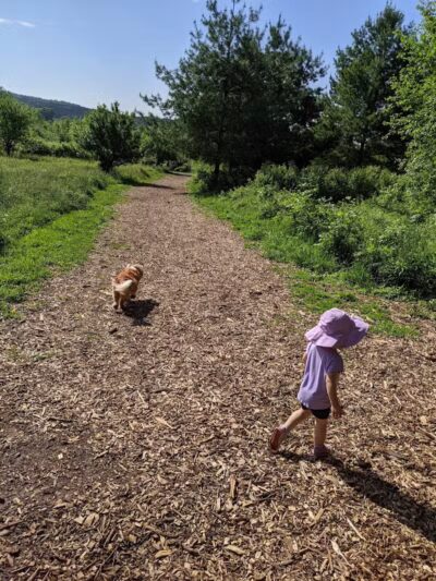 Prairie Moraine Dog Park - Verona, WI