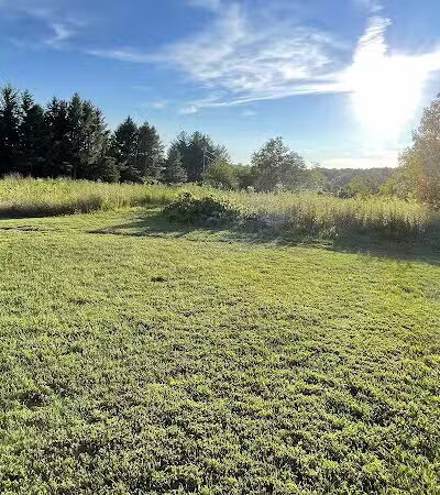 Prairie Moraine Dog Park - Verona, WI