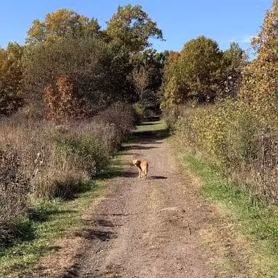 Prairie Moraine Dog Park - Verona, WI