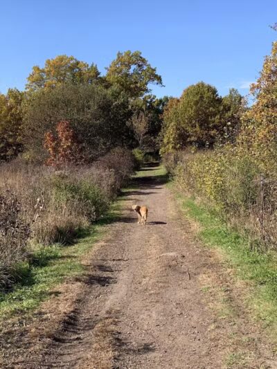 Prairie Moraine Dog Park - Verona, WI
