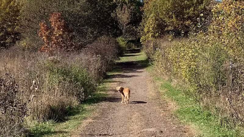 Prairie Moraine Dog Park - Verona, WI
