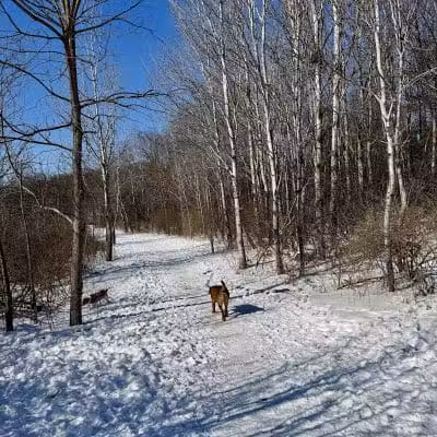 Prairie Moraine Dog Park - Verona, WI