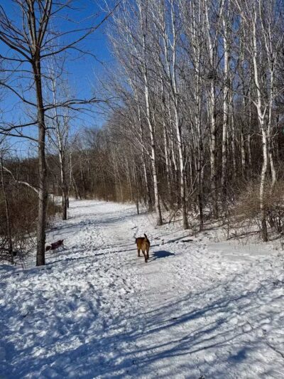 Prairie Moraine Dog Park - Verona, WI