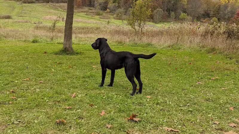 Prairie Moraine Dog Park - Verona, WI