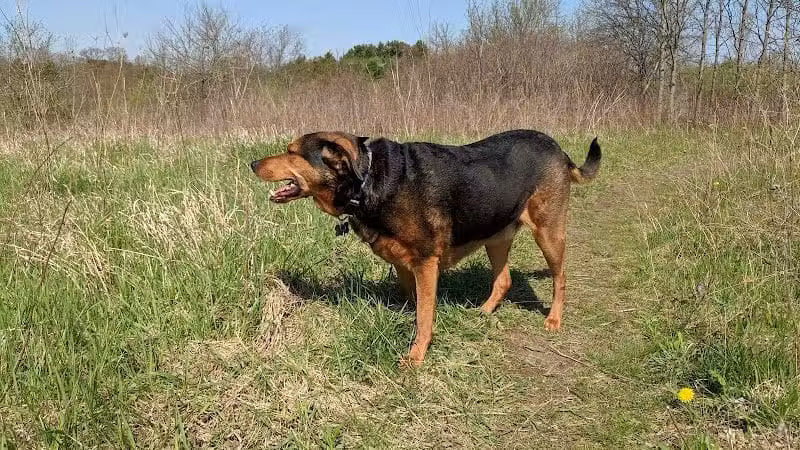 Prairie Moraine Dog Park - Verona, WI