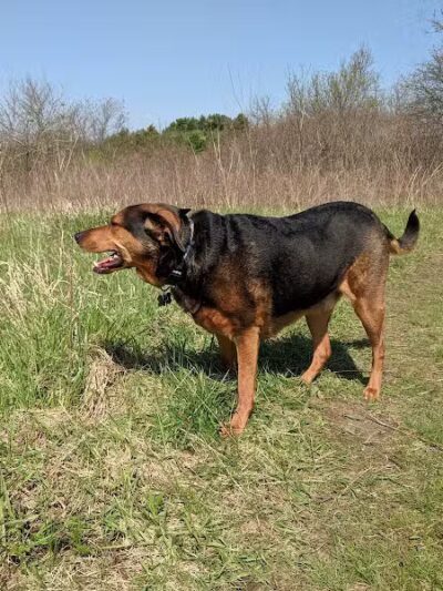Prairie Moraine Dog Park - Verona, WI