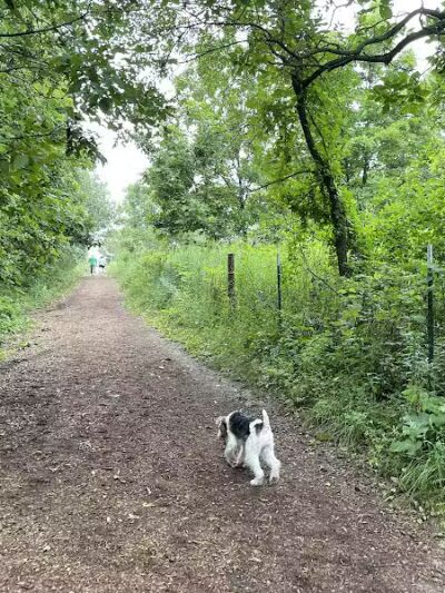 Prairie Moraine Dog Park - Verona, WI