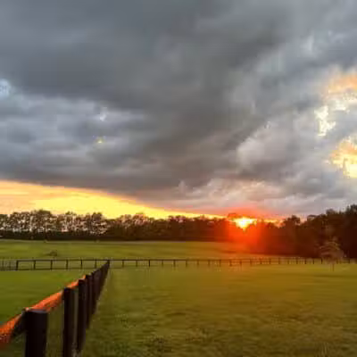 Woodford County Dog Park - Versailles, KY