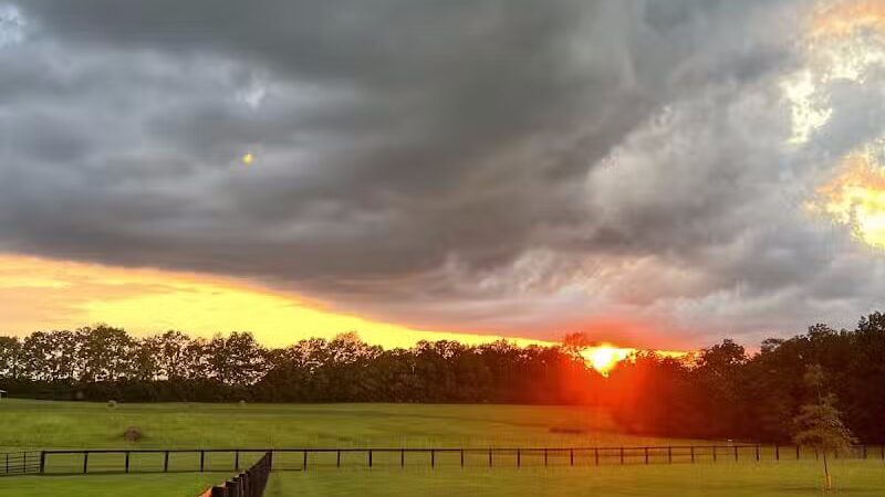 Woodford County Dog Park - Versailles, KY