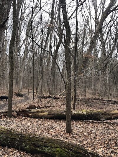 Prairie View County Park - Vicksburg, MI