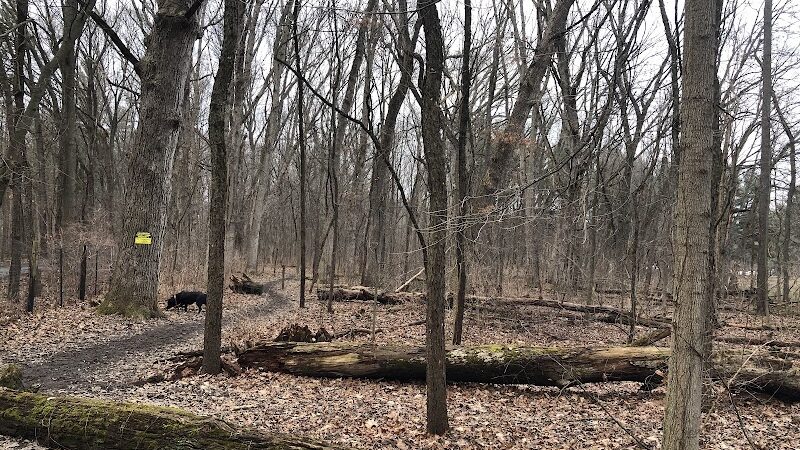 Prairie View County Park - Vicksburg, MI