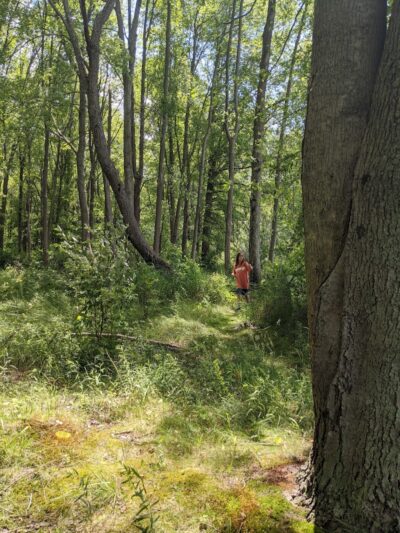 Prairie View County Park - Vicksburg, MI