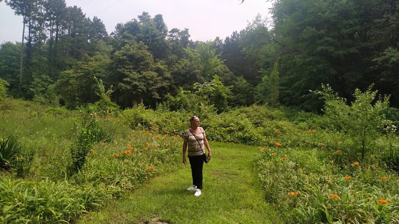 Prairie View County Park - Vicksburg, MI